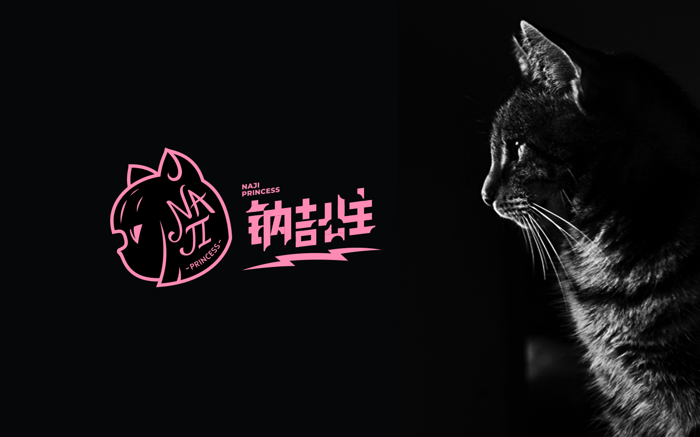 PURRIFIC packaging