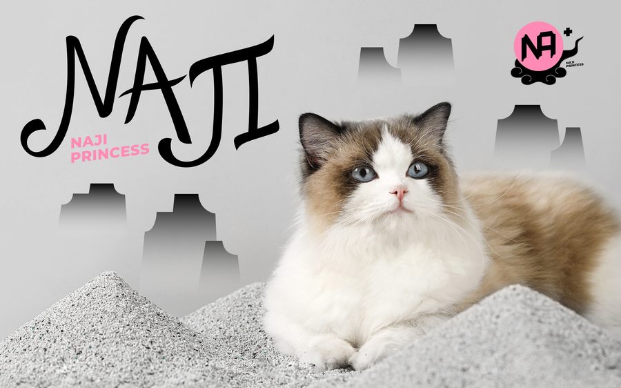 PURRIFIC gallery 5